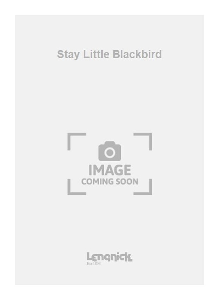 Stay Little Blackbird